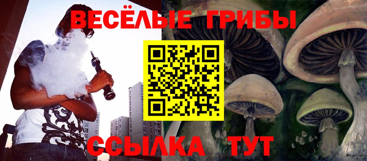 Псилоцибиновые грибы Magic Shrooms Чапаевск